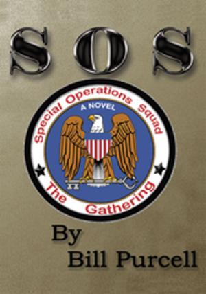 Cover of the book Special Operations Squad by I. E. Woodward