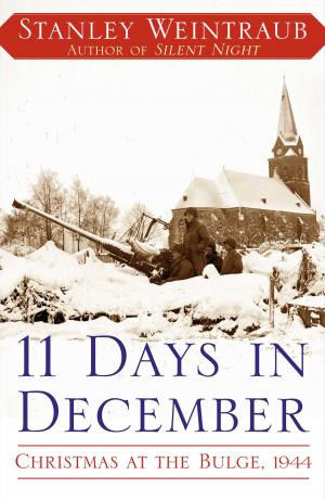 Cover of the book 11 Days in December by David Edelberg, M.D.