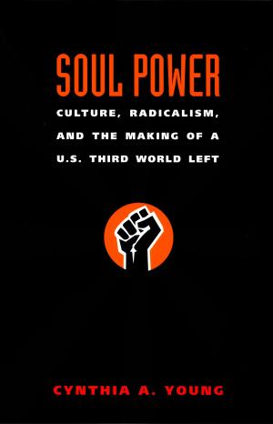 Cover of the book Soul Power by Didier Eribon, Michèle Aina Barale, Jonathan Goldberg, Michael Moon, Eve  Kosofsky Sedgwick