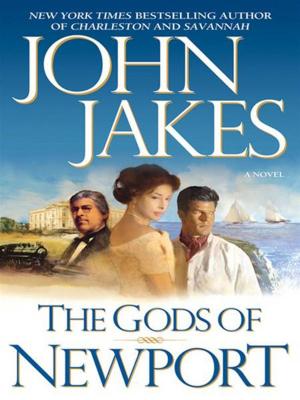 Cover of the book The Gods of Newport by Jory Strong