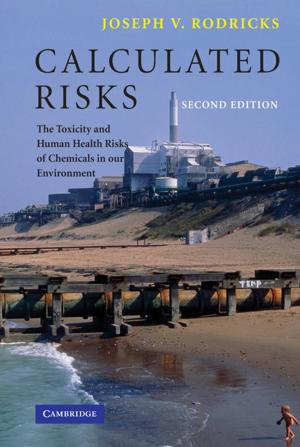 Cover of the book Calculated Risks by Philip Hans Franses