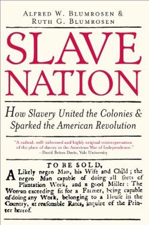 Cover of the book Slave Nation by Kimberly Danger