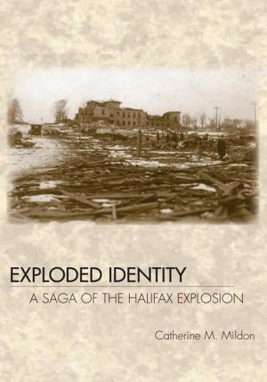 Cover of the book Exploded Identity by Michael Williams