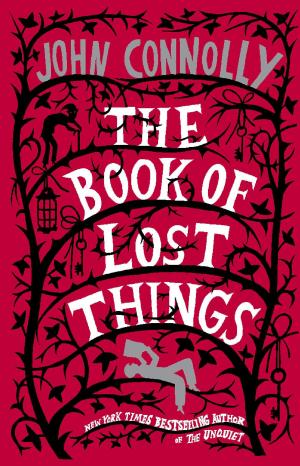 Cover of the book The Book of Lost Things by Emma McLaughlin, Nicola Kraus