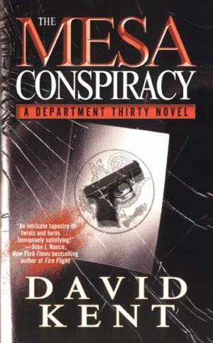 Cover of the book The Mesa Conspiracy by Stacey Jay