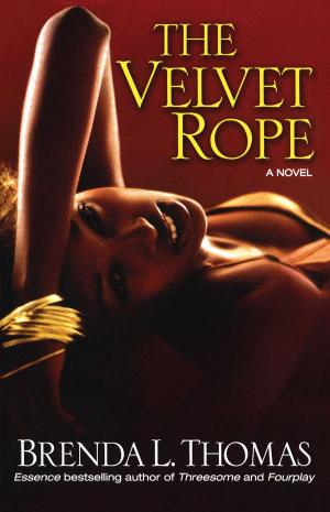 Cover of the book The Velvet Rope by Alexis Morgan