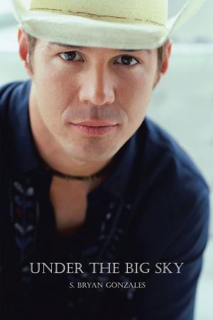 Cover of the book Under the Big Sky by James William Martin