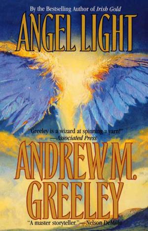 Cover of the book Angel Light by Steven Brust