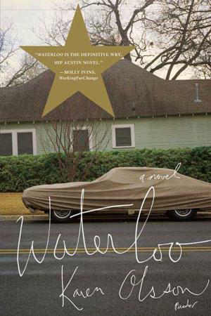 Cover of the book Waterloo by Lisa Zeidner