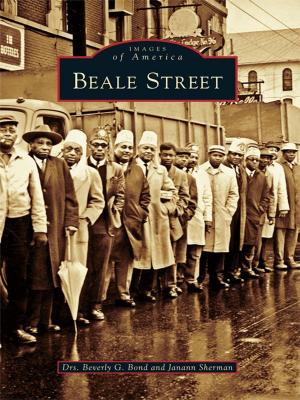 Cover of the book Beale Street by Suzanne Rhodes