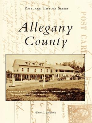 Cover of the book Allegany County by Susan Ann Bruno Thifault, Theresa M. Christerson