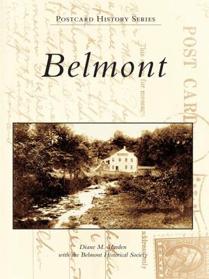 Cover of the book Belmont by Patricia Ruth-Marsicano