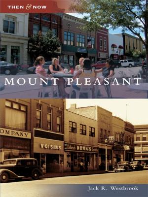 Cover of the book Mount Pleasant by Robert Tuholski Ph.D.