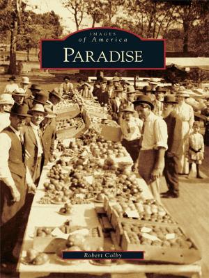 Cover of the book Paradise by Brad Holden