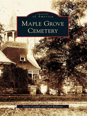 Cover of the book Maple Grove Cemetery by Don Whitney, Michael Daicy, Portland Veteran Firemen's Association, The Portland Fire Museum