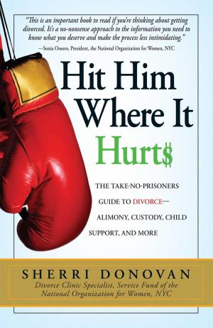 Cover of the book Hit Him Where It Hurts by Daylle Deanna Schwartz