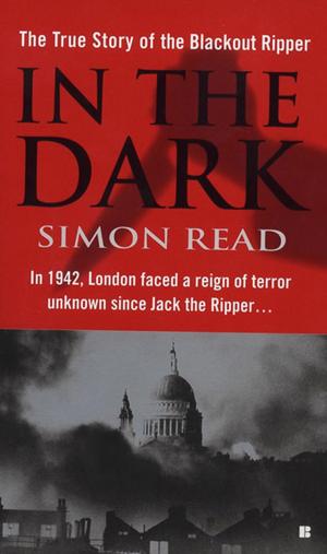 Cover of the book In the Dark by Bill Flanagan