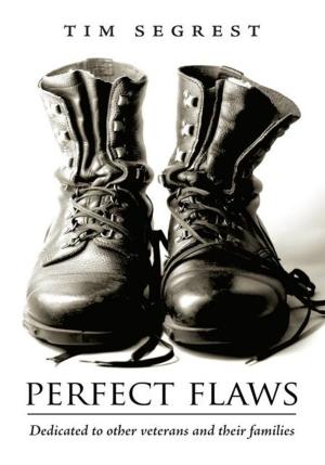 Cover of the book Perfect Flaws by Rajah E. Smart