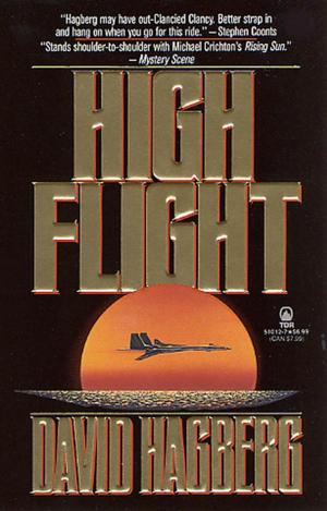 Cover of the book High Flight by R. J. Pineiro