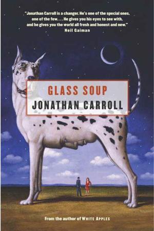 Cover of the book Glass Soup by T. A. Moorman