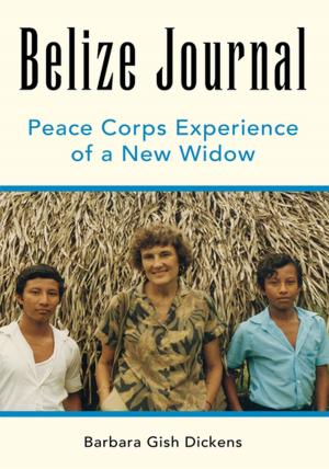 Cover of the book Belize Journal by Gary Welsh