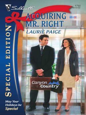 Cover of the book Acquiring Mr. Right by Christine Wenger
