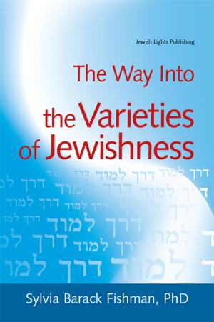 Cover of the book The Way Into the Varieties of Jewishness by Dr. Ron Wolfson