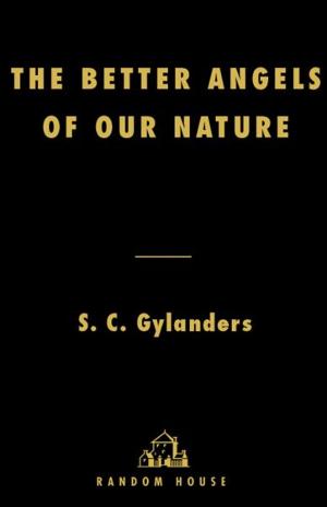 Cover of the book The Better Angels of Our Nature by Stephanie Tyler