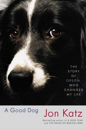 Cover of the book A Good Dog by Carolyn Hart