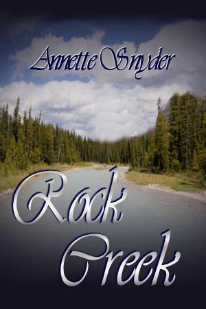 Cover of the book Rock Creek by Valerie Goldsilk