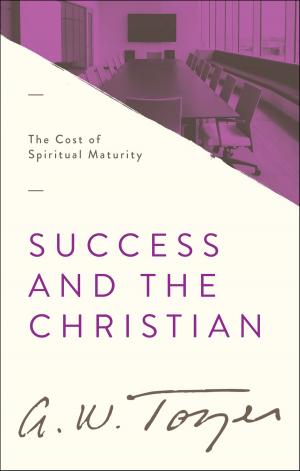 Cover of the book Success and the Christian by John Perkins, Karen Waddles
