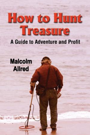 Book cover of HOW TO HUNT TREASURE: A Guide to Adventure and Profit