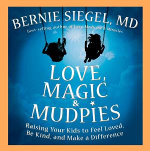 Book cover of Love, Magic & Mudpies