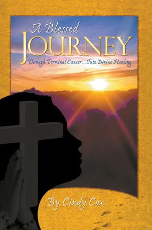 Cover of the book A Blessed Journey by William Evenhouse