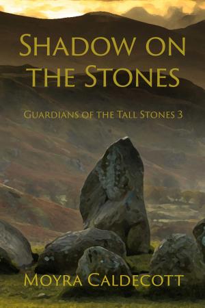Book cover of Shadow on the Stones