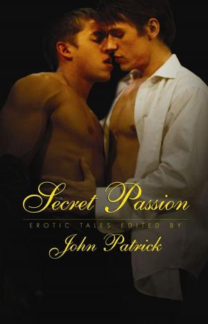 Cover of the book Secret Passion by Chris Johns