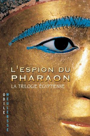 Cover of the book L'espion du pharaon by Nicolas Jaillet