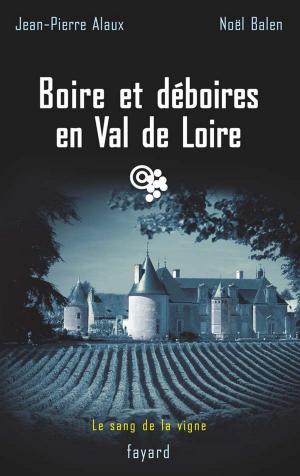 Cover of the book Boire et déboires en Val de Loire by Luce Janin-Devillars