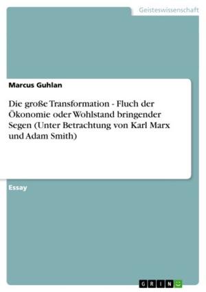Cover of the book Die große Transformation - Fluch der Ökonomie oder Wohlstand bringender Segen (Unter Betrachtung von Karl Marx und Adam Smith) by Daniel Brücher