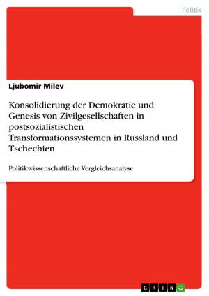 Cover of the book Konsolidierung der Demokratie und Genesis von Zivilgesellschaften in postsozialistischen Transformationssystemen in Russland und Tschechien by Stefan Moors