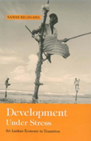 Cover of the book Development Under Stress by Dr. Martin D. Schwartz, Walter S. DeKeseredy