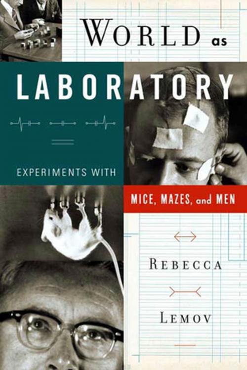 Cover of the book World as Laboratory by Rebecca Lemov, Farrar, Straus and Giroux