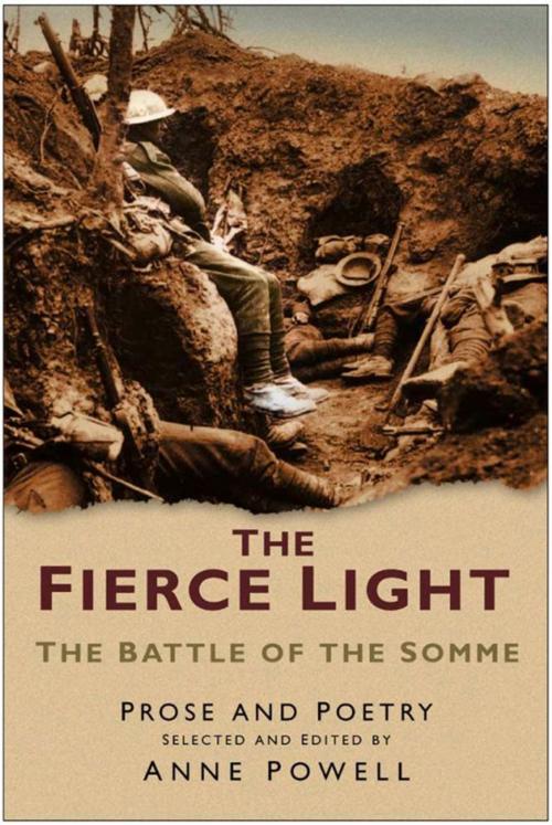 Cover of the book Fierce Light by Robert Powell, The History Press
