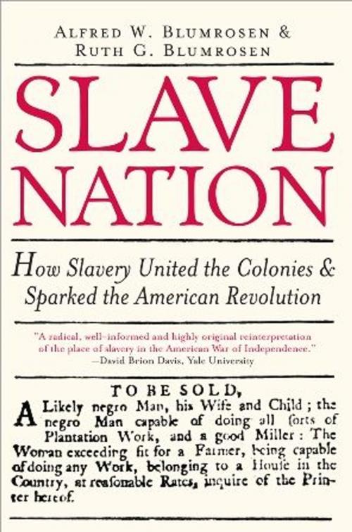 Cover of the book Slave Nation by Alfred Blumrosen, Ruth Blumrosen, Sourcebooks