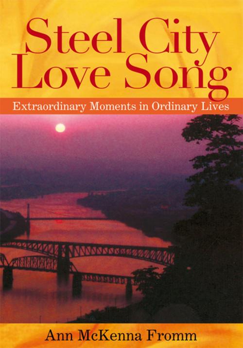 Cover of the book Steel City Love Song by Ann McKenna Fromm, Xlibris US