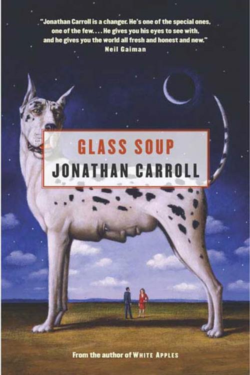 Cover of the book Glass Soup by Jonathan Carroll, Tom Doherty Associates