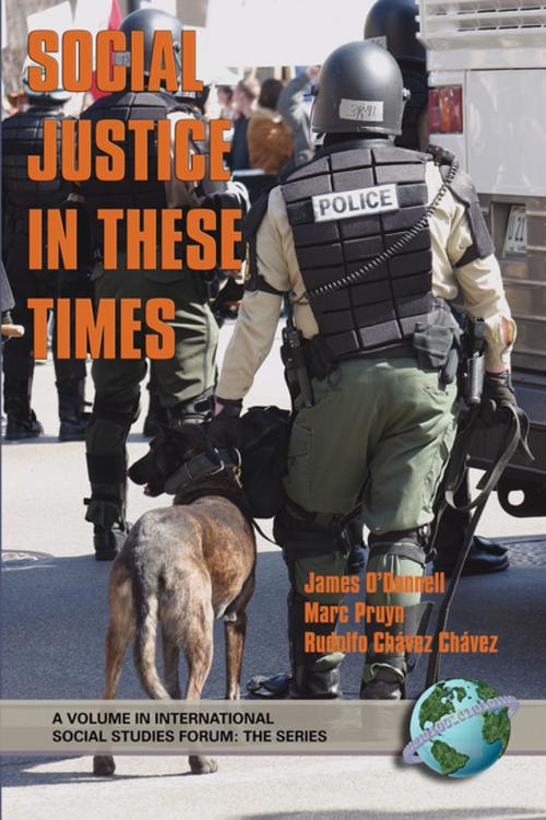 Cover of the book Social Justice in These Times by , Information Age Publishing