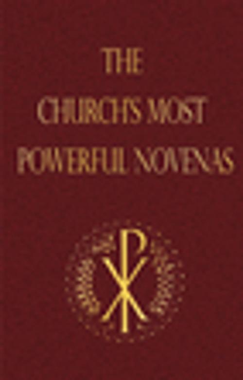 Cover of the book The Church's Most Powerful Novenas by Michael Dubruiel, Our Sunday Visitor