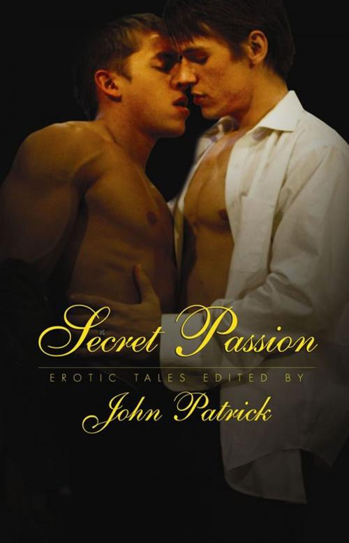 Cover of the book Secret Passion by John Patrick, STARbooks Press