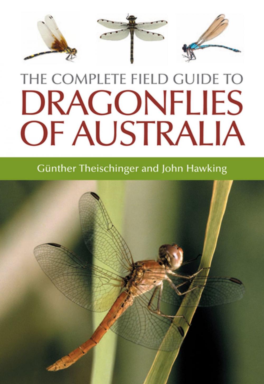 Big bigCover of The Complete Field Guide to Dragonflies of Australia